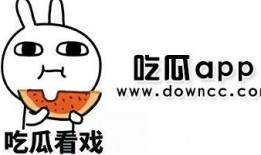 无语吃瓜网红是谁,网络红人的崛起与争议